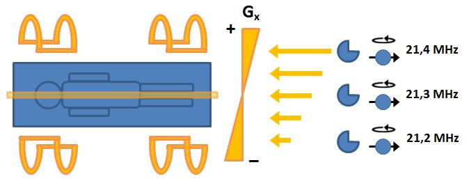 KAPITOLA 3. MAGNETICKÁ REZONANCE 88 Obrázek 3.20: Aplikací gradientu G x dosáhneme změny Larmorovy frekvence precesního pohybu částic na různých pozicích ve směru osy x.