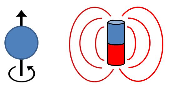 KAPITOLA 3. MAGNETICKÁ REZONANCE 66 (a) (b) Obrázek 3.2: (a) Každá částice s nábojem a nenulovým spinem má nenulový magnetický moment a chová se podobně jako malý magnet.