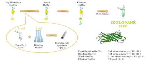 GFP 0.0 100.0 % Buffer B 50.0-25000 GFP 20000 (6.11.