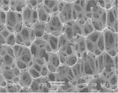 Podle způsobu výroby kovových pěn uvedených níže má struktura charakter otevřených železných pórů s velikostí od 100 μm do 550 μm.