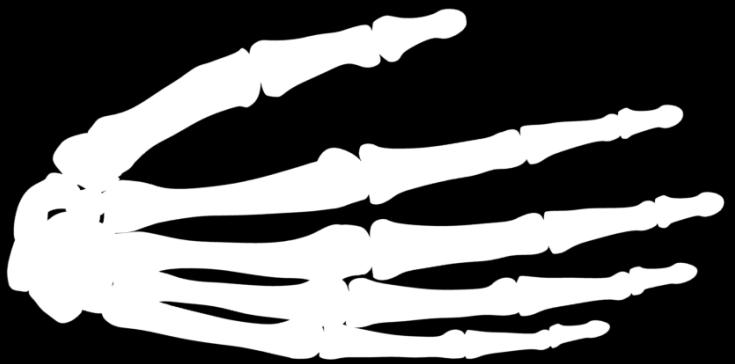 Červenou barvou jsou zvýrazněny kosti, které jsou dále uplatněny pro výpočtový model. Obr. 9.11: Model geometrie kostí ruky dostupný na www.grabcad.