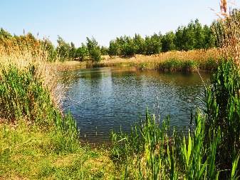 stavem před těžbou - Z hlediska biologické rozmanitosti jsou (kromě ptáků)