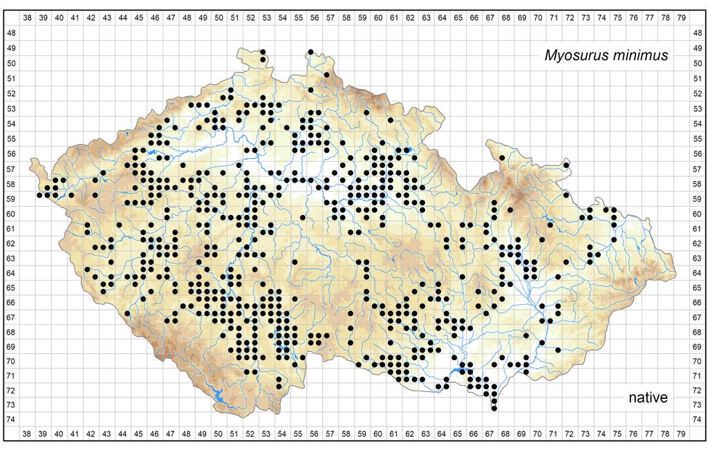 Distribution of Myosurus minimus in the Czech Republic Author of the map: Kateřina Šumberová Map produced on: 15-10-2017 Database records used for producing the distribution map of Myosurus minimus