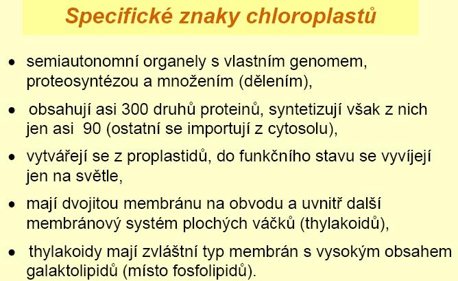 Skupiny těsně na sebe přiléhajících thylakoidů nazýváme grana. Ty části membrán, které k sobě v granech přiléhají, označujeme jako granální (přitisknuté, stěsnané) thylakoidní membrány.