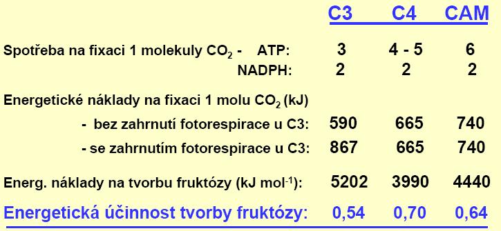 Na Calvinův cyklus jsou ale obvykle napojeny ještě další reakce, které jsou v podstatě neodělitelně spojeny s fixací CO 2 a které celkové náklady na fixaci zvyšují.