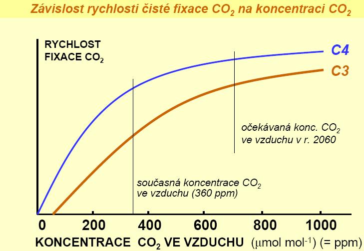 vzduchu) jsou závislé na vodivosti difuzních cest v listu, především na vodivosti průduchů.