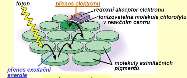 Přebytek energie při návratu elektronu z excitovaného do základního stavu může být jednak přeměněn na teplo či vyzářen ve formě fluorescenčního záření, ale nejčastěji je využit k excitaci elektronu v