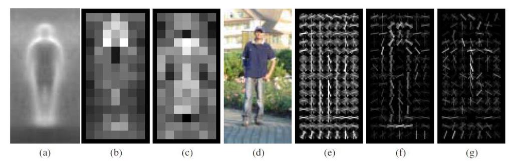 Trénovací sada pro naučení metodou SVM je sestavena z pozitivních (y i = 1) příkladů, tedy HOG deskriptoru vypočteného z obrazu velikosti 64x128 pixelů, který obsahuje člověka, a také z příkladu