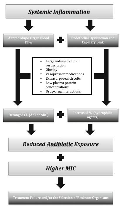3) Optimalizace podávání ATB výběr vhodného ATB včasné nasazení ATB Zhoršené fyziologické funkce u kriticky nemocných pacientů a vliv na PK/PD ATB volba nasycovací dávky a úprava dávky v čase způsob