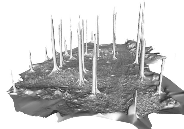 Základní výzkum: Archeologická terénní prospekce v zalesněném prostředí 3D modelace