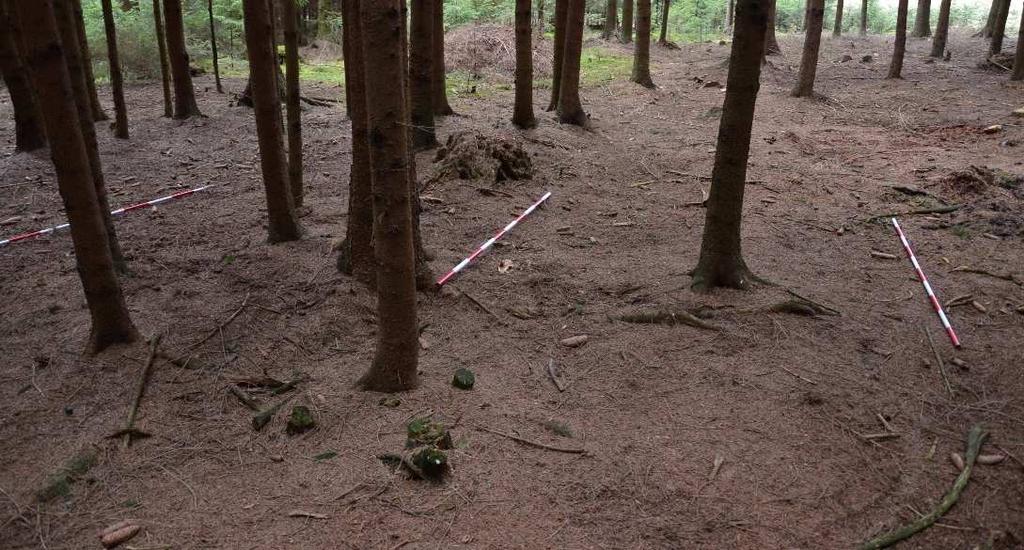 stavební, palivové: milířiště) Kámen stavební, vápenec -pálení