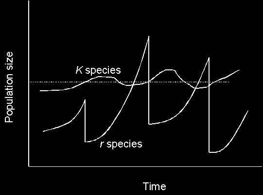 Spektrum matematické biologie 1.