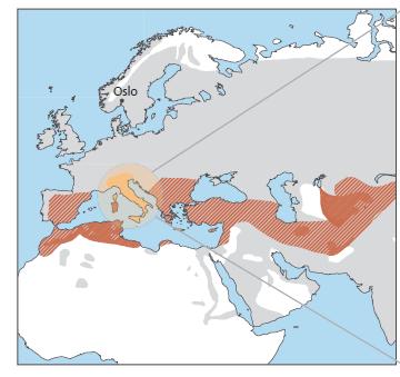 Homoploidní hybridní speciace Nedochází ke změnám ploidie.