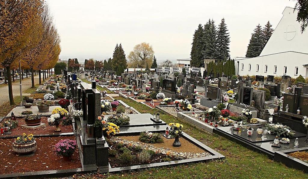 Odvodnění hřbitova - Problémy s vysokou spodní vodou na pohřebišti - Hydrogeologický průzkum