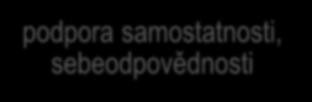 prostředí podpora samostatnosti, sebeodpovědnosti Goodhand J, et al.