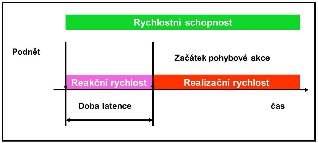 Rychlost lze obecně definovat jako schopnost dosáhnout vysoké rychlosti a frekvence cyklického,