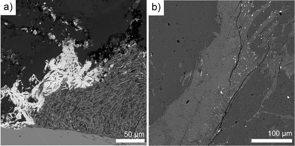 Obr. 13. a) Prorůstání jílového minerálu s galenitem (světlý). Okraje krystalů jílových minerálů vykazují zvýšený obsah Pb, fotografie pořízena v BSE.