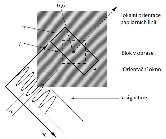 ,kde pokud x 0 μ(x) = { x jinak pokud x 0 δ(x) = { x jinak (7.13) (7.