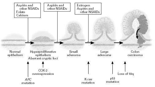 2006; 36(10): 730-736 81 FUNKČNÍ DIAGNOSTIKA, STOLICE, DECOVÉ TESTY ELICOBACTER PYLORI - ŽALUDEK 82 80 70 60 50 40 30 20 10 0 INCIDENCE A MORTALITA KOLOREKTÁLNÍO KARCINOMU V ČR na 100.
