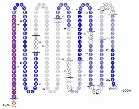 PEPTIDERANK Predikce proteotypických peptidů http://wlab.ethz.