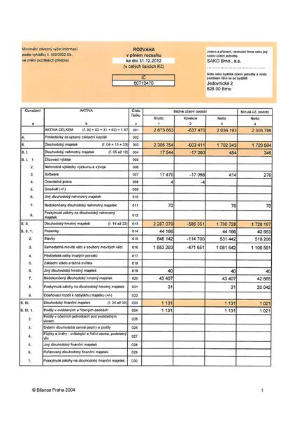 Rozvaha a výkaz zisk