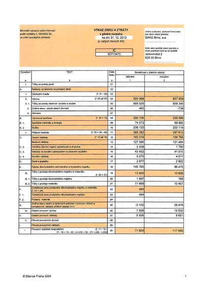 Rozvaha a výkaz zisku a ztráty společnosti