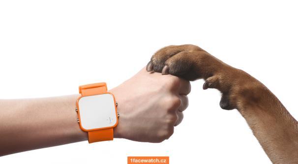 působí. Oranžové hodinky jsou určeny k podpoře ochrany zvířat. 1: FaceWatch je značka, která přináší globální změnu tím, že sjednocuje lidi, kteří pomáhají těm, co to nejvíce potřebují.