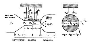 c )). Interakce se Obr.2.18. Dvouhmotností model hlasivek (nárys&bokorys) [1] vzdušným sloupcem je definována pomocí četných geometrických a aerodynamických parametrů (obr. 2.18.). Dvouhmotnosní model hlasivek má dva stupně volnosti a jeho chování lze popsat pomocí dvou modů, které jsou analogické s mody 10 a 11 na obr.