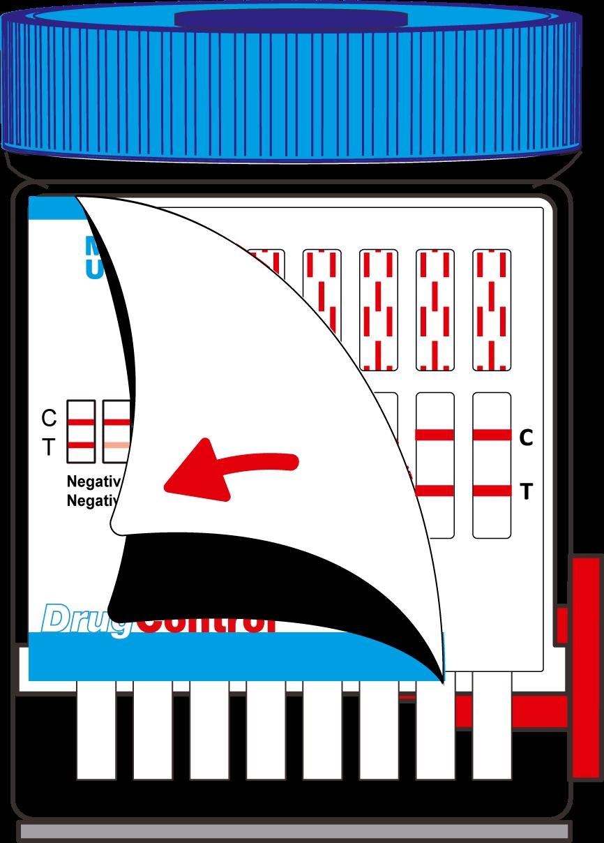 Jedna červená linka v kontrolní zóně (C), a druhá červená nebo růžová linka v testovací zóně (T).