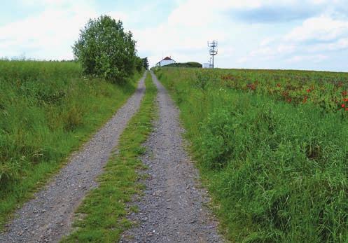 2014 FOTO PŘED REALIZACÍ Polní cesty v katastrálním území Pavlíkov jsme postavili po