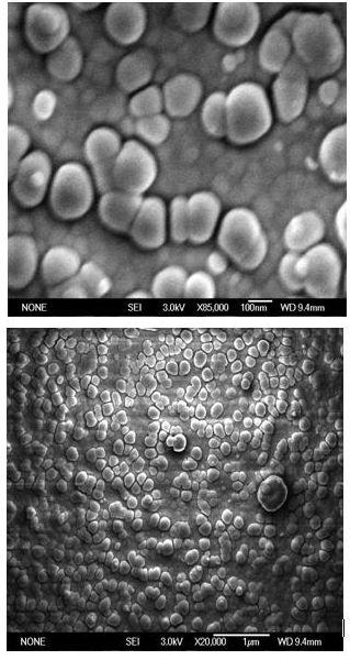 Obr.36 SEM snímky TiO 2 nanesené na skle DBD (Laboratoř elektronové mikroskopie, Parazitologický ústav AVČR, České Budějovice) Na obr.