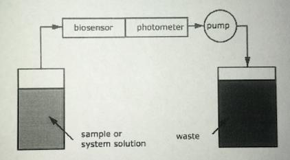 Obrázek 12 Průtokový diagram[21] 3.4. Příprava vzorku a stanovení Obsah kyseliny mléčné a glukózy se měřil z difuzní šťávy z extraktoru, který se nachází na tzv. řepníku.