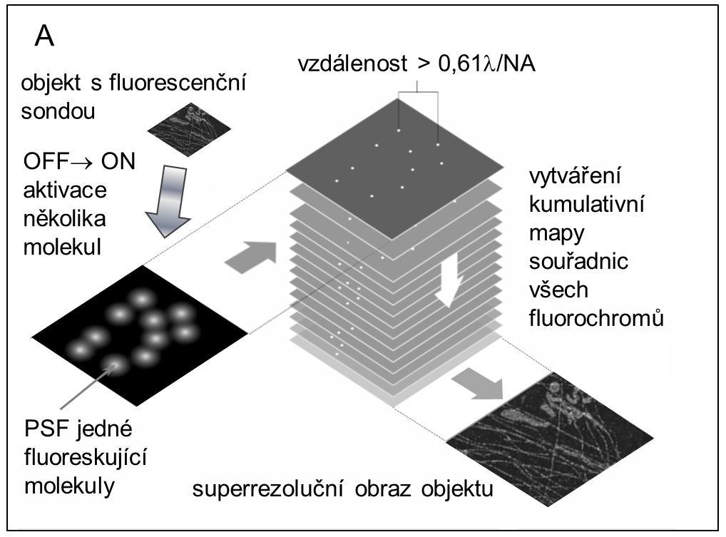 Princip lokalizační superrezoluční mikroskopie A V objektu obsahujícím fotoaktivatelnou nebo fotoegulovatelnou fluorescenční sondu je malý počet nahodile (stochasticky) vybraných a dostatečně