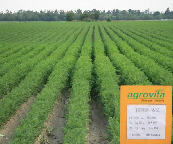 Ponuka spoločnosti AGROVITA pre pestovateľov zeleniny v roku 2013 AFALON 45 SC (linuron 450 g/l) * registrovaný v Integrovanej produkcii Herbicíd určený na PRE a POST ničenie jednoročných
