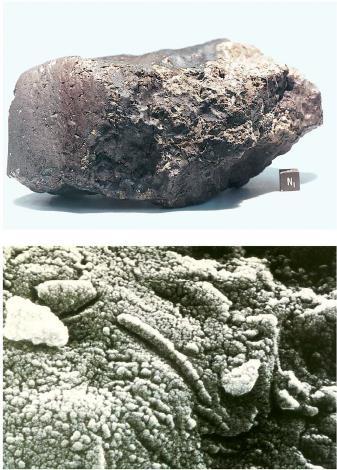Život hľadali aj v meteoritoch z Marsu Príznaky existencie života boli skúmane aj v