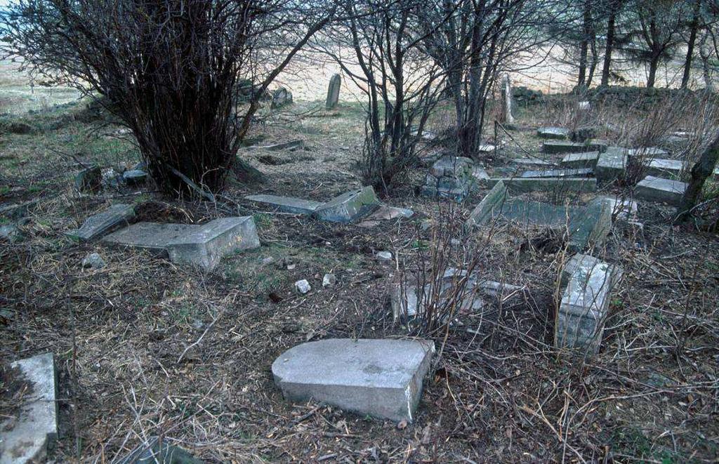Příloha 4 Fotografie židovského hřbitova v