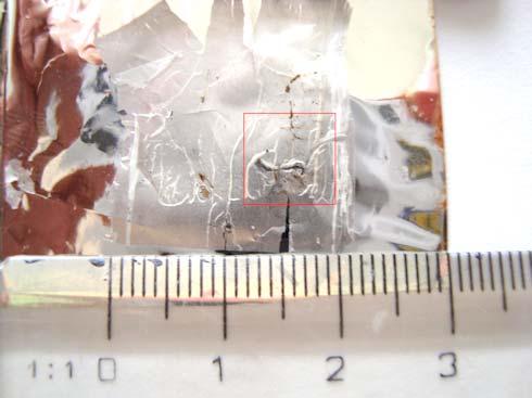3) Ledvinná tkáň: Obrázek č. 28: vlevo vyfocený řez ledvinné tkáně (Ø 3 μm) nanesený na mylarovou fólii.
