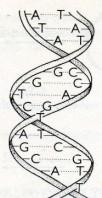 MOŢNOSTI VYŠETŘENÍ GENETICKÉHO MATERIÁLU (v různých typech laboratoří) vyšetření chromosomů metodami klasické cytogenetiky (G-pruhování chromosomů) vyšetření celého karyotypu (všech chromosomů)