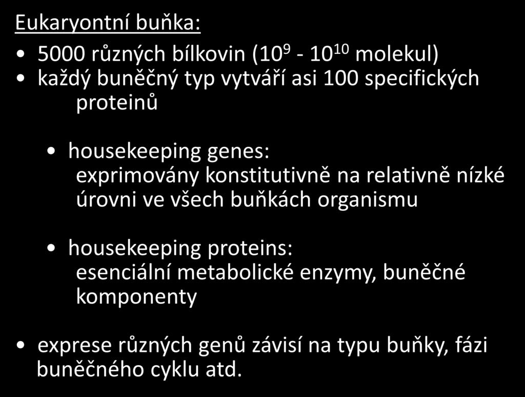 Eukaryontní buňka: 5000 různých bílkovin (10 9-10 10 molekul) každý buněčný typ vytváří asi 100 specifických proteinů housekeeping genes: exprimovány konstitutivně na relativně