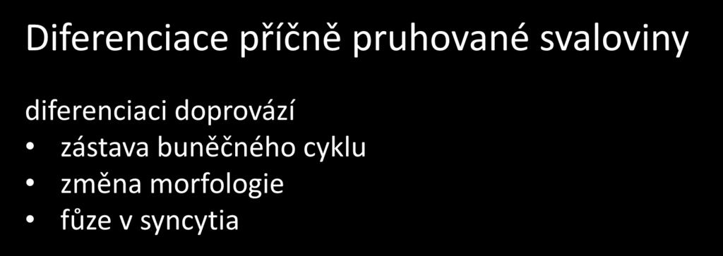 doprovází zástava buněčného