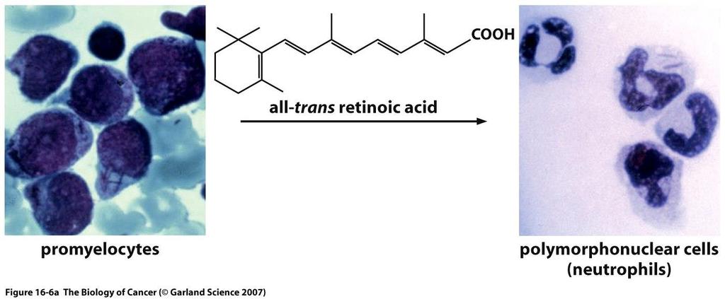 Kyselina all-trans retinová