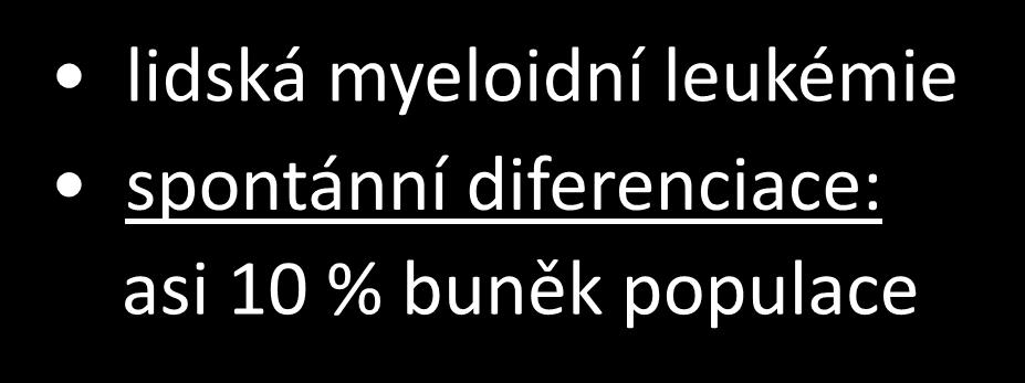 monocyto/makrofágové diferenciace: