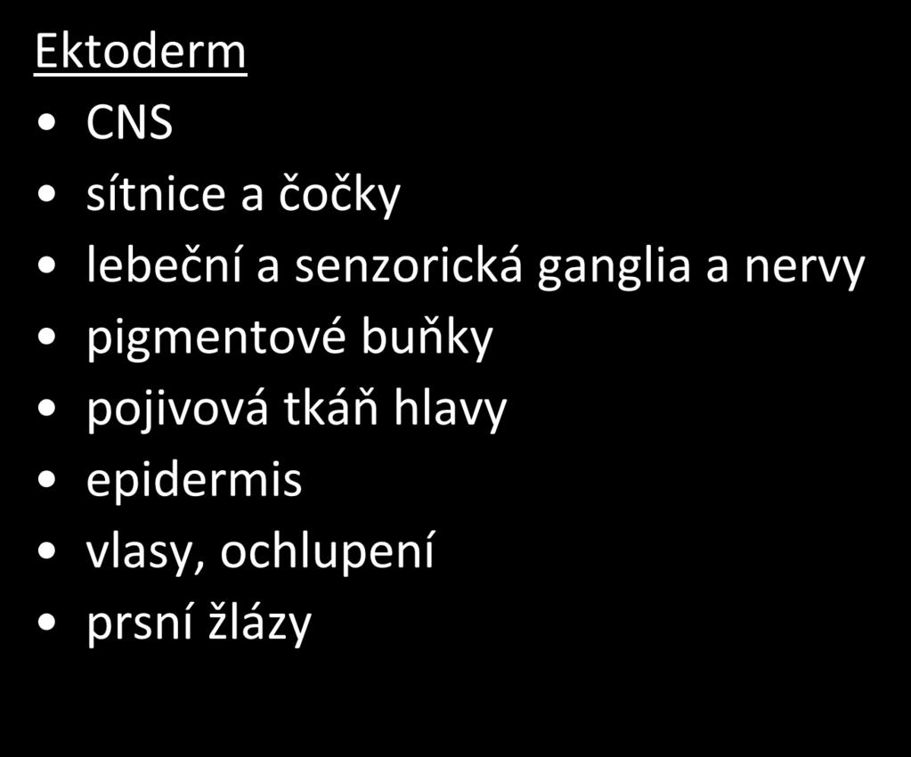 Ektoderm CNS sítnice a čočky lebeční a senzorická ganglia a nervy