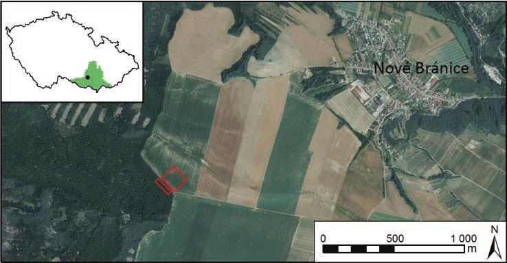 PRŮZKUM MLADONEOLITICKÉHO RONDELU V NOVÝCH BRÁNICÍCH 67 Obr. 1. Nové Bránice, okr. Brno-venkov. Plocha geofyzikálního průzkumu v dnešní krajině.