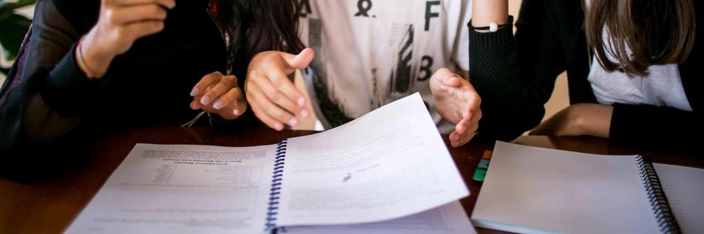 zahraniční škole, při přijímacím řízení ke vzdělávání ve střední škole promíjí na žádost přijímací zkouška z českého jazyka.