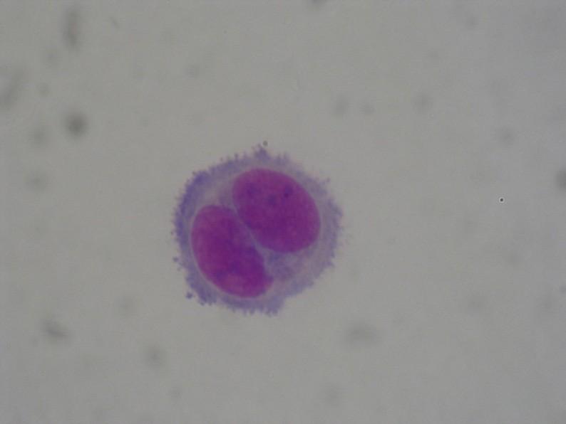 Typy cytologických