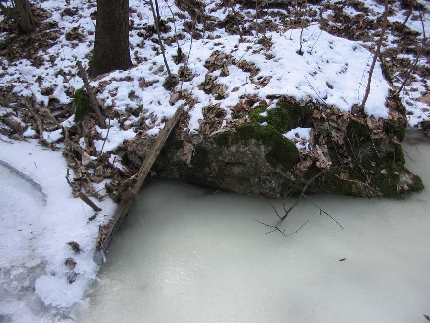 že pod hladinu Říčky vyvěrají teplejší vody z jeskynního systému.