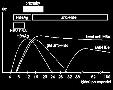 známkou akutní virové hepatitidy B. Tyto protilátky lze také pouţít k rozlišení, zda je akutní hepatitida způsobena HBV nebo infekcí jiným virem (Anonym, 2004).