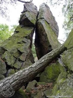 Jouglovka CHKO Křivoklátsko Geologie a geomorfologie Většina CHKO spadá pod celek Křivoklátská vrchovina, jihozápadní část pak pod Plaskou pahorkatinu (součást Plzeňské pahorkatiny).