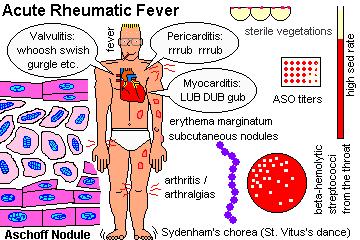 http://mednote.co.